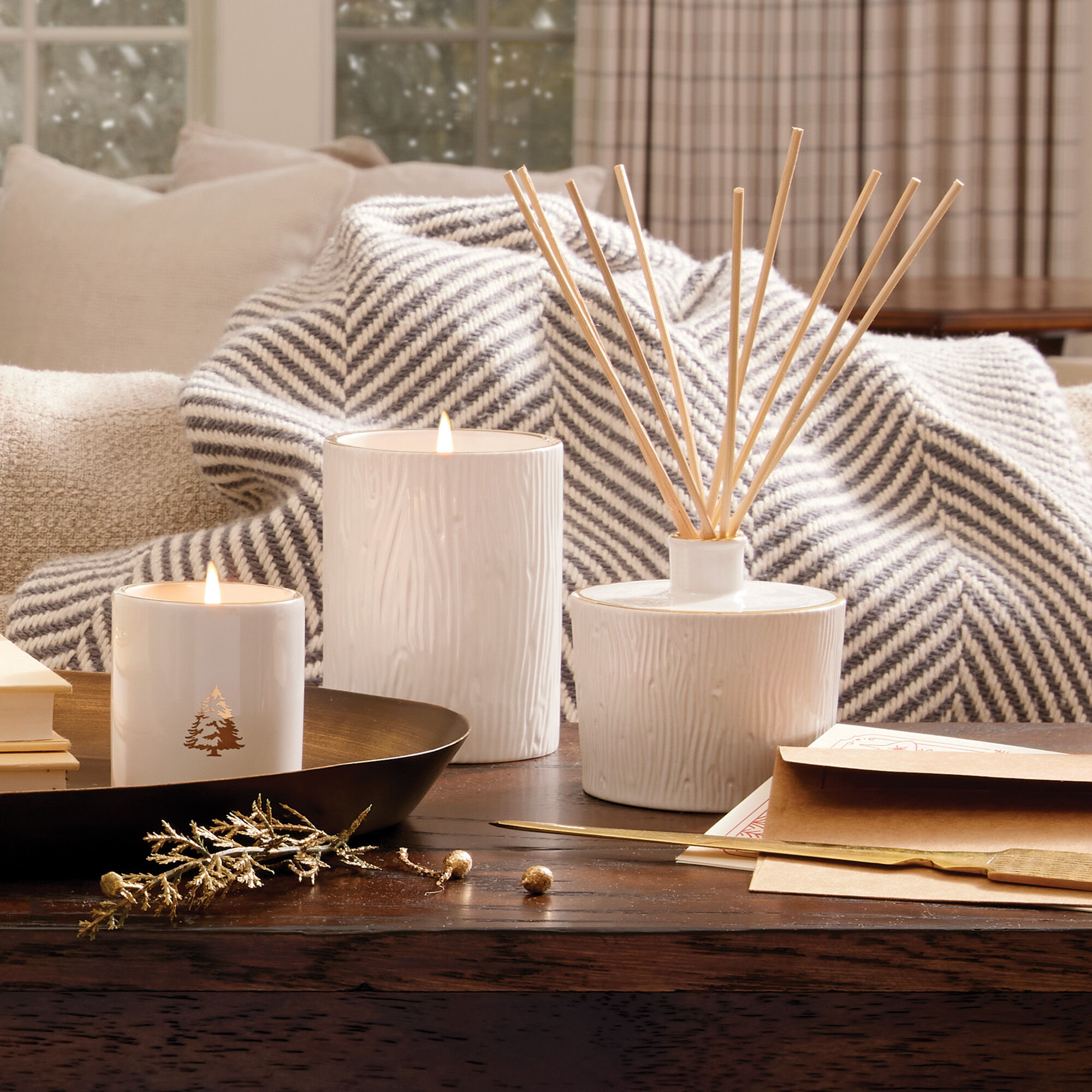 Thymes Frasier Fir Gilded Ceramic Poured Candle Medium