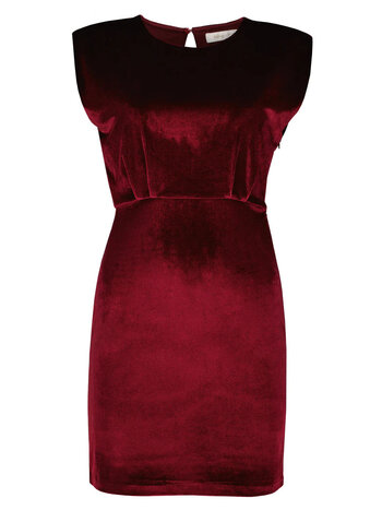 Bishop & Young Hayden Velvet Dress