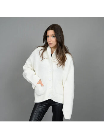 Hildegard Raglan Shawl Collar