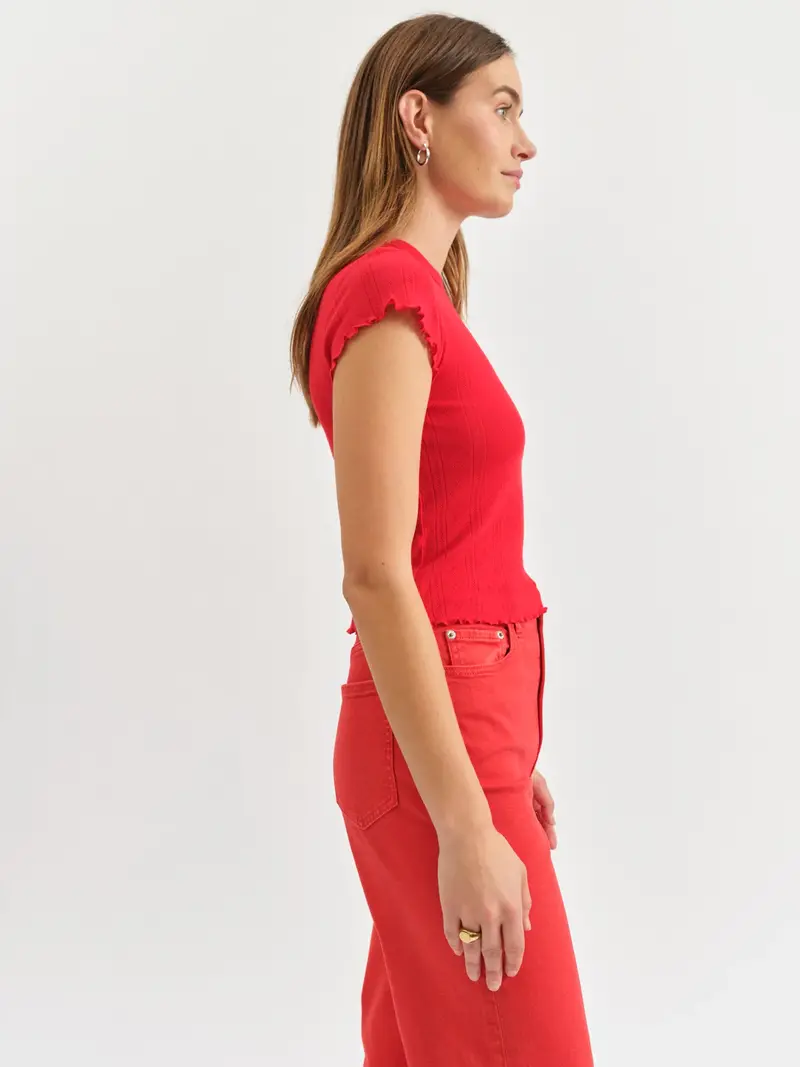 Daze Lily Pointelle Tee
