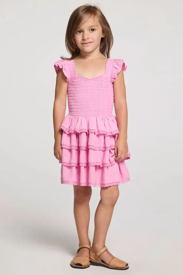 Saltwater Luxe Cherie Mini Dress