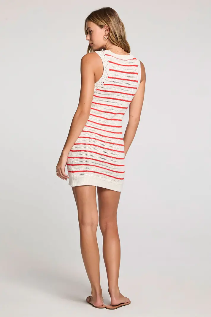 Saltwater Luxe Blakke Mini Dress