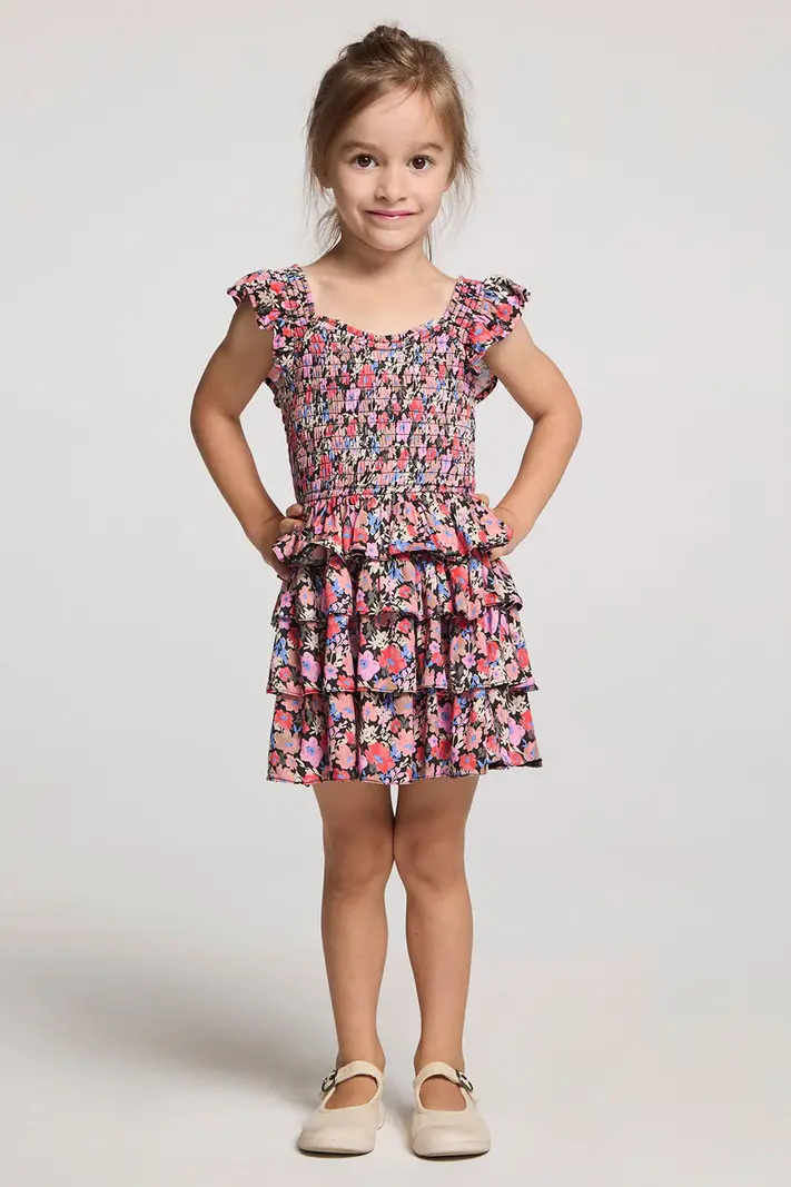 Saltwater Luxe Cherie Mini Dress