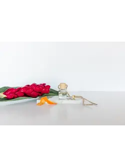 Ivy & Sage Co Car Diffuser-Volcano