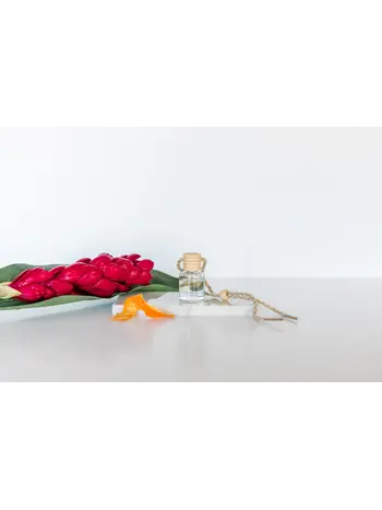 Ivy & Sage Co Car Diffuser-Volcano