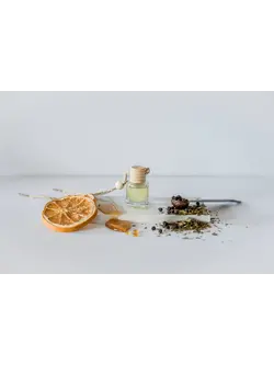 Ivy & Sage Co Car Diffuser-Rebellion