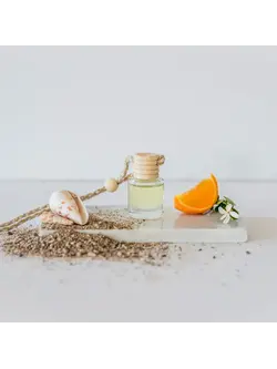 Ivy & Sage Co Car Diffuser-Newport