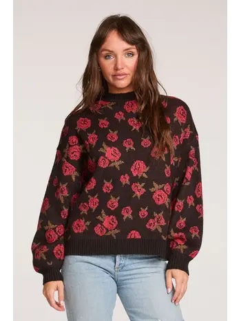 Saltwater Luxe Lionna Sweater