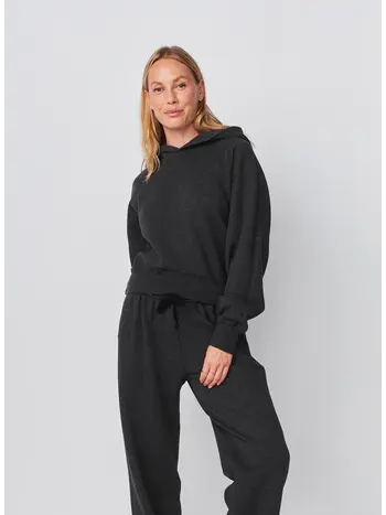 Sundry Cropped Hoodie
