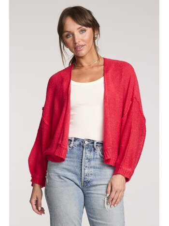 Saltwater Luxe Aden Sweater