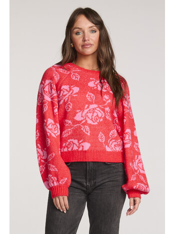 Saltwater Luxe Noele Sweater