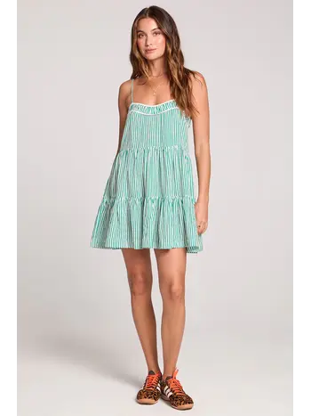 Saltwater Luxe Genevieve Mini Dress