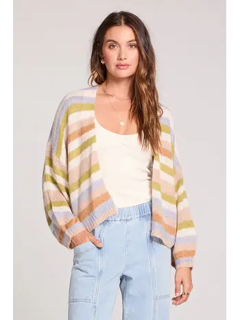 Saltwater Luxe Aden Sweater