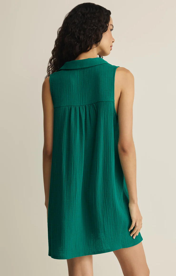 Z Supply New Light Mini Dress