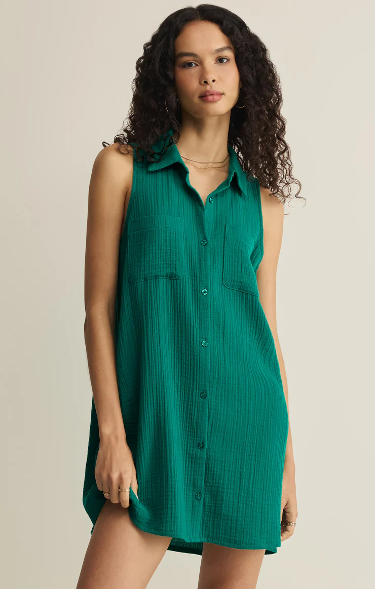 Z Supply New Light Mini Dress