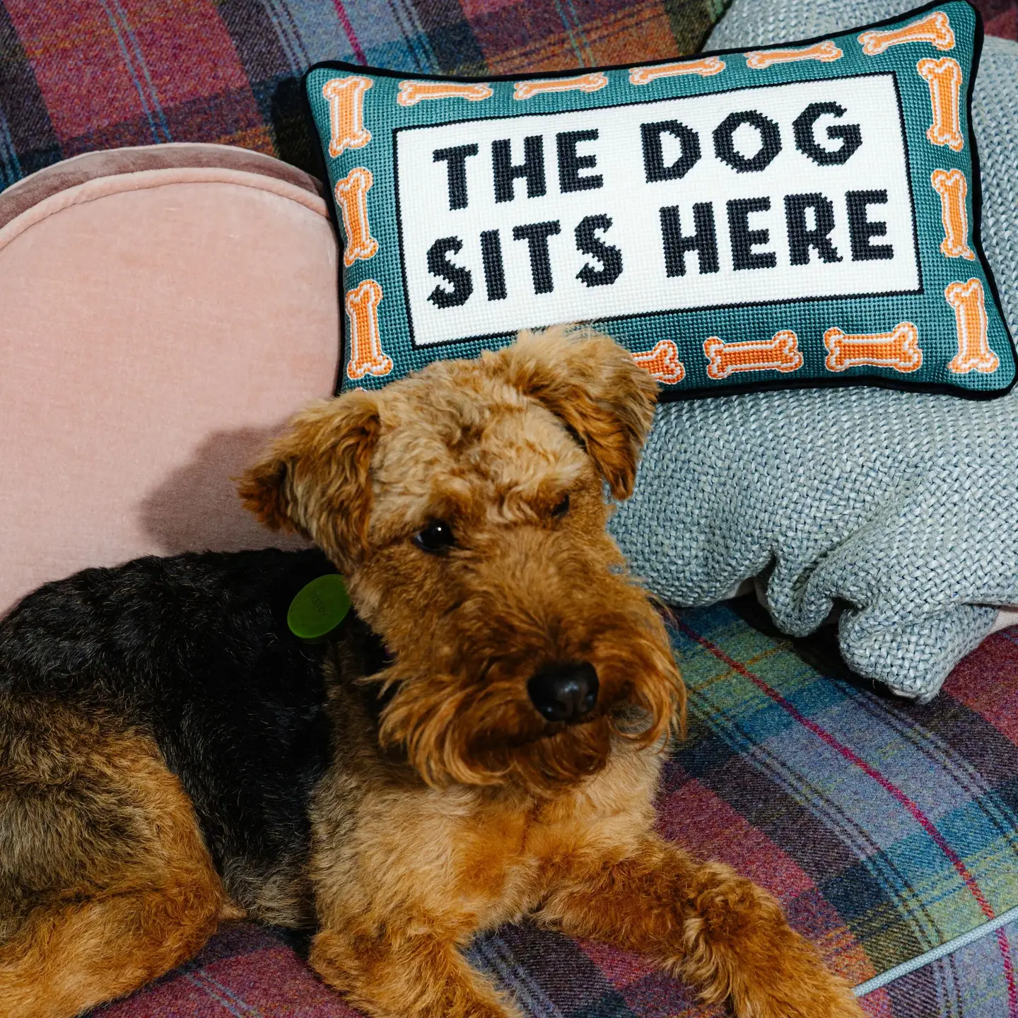 Furbish Studio Dog Sits Here Pillow