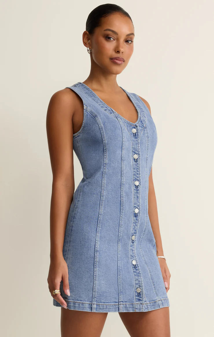 Z Supply Jolie Denim Seamed Mini Dress