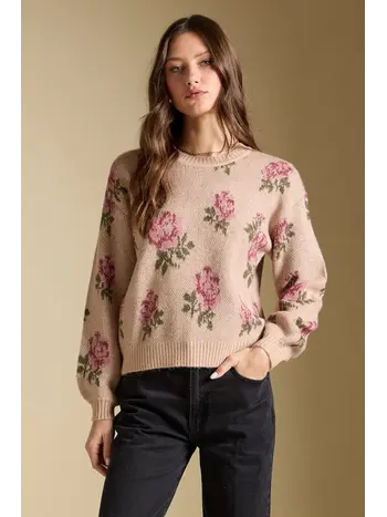 Saltwater Luxe Vincent Sweater