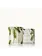 Thymes Frasier Fir Candle Pine Needle