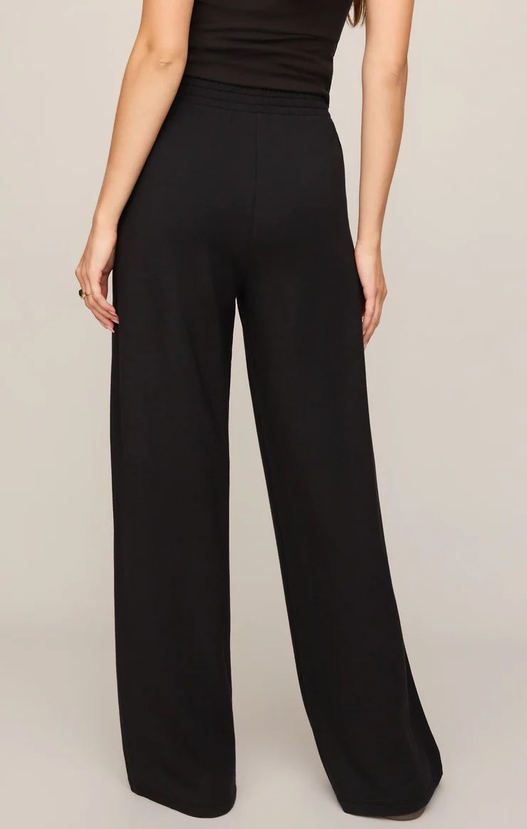 Z Supply In Transit Modal Pant