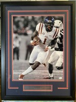 AJ Brown 16x20 B