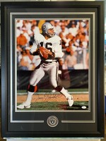 Jim Plunkett 16x20