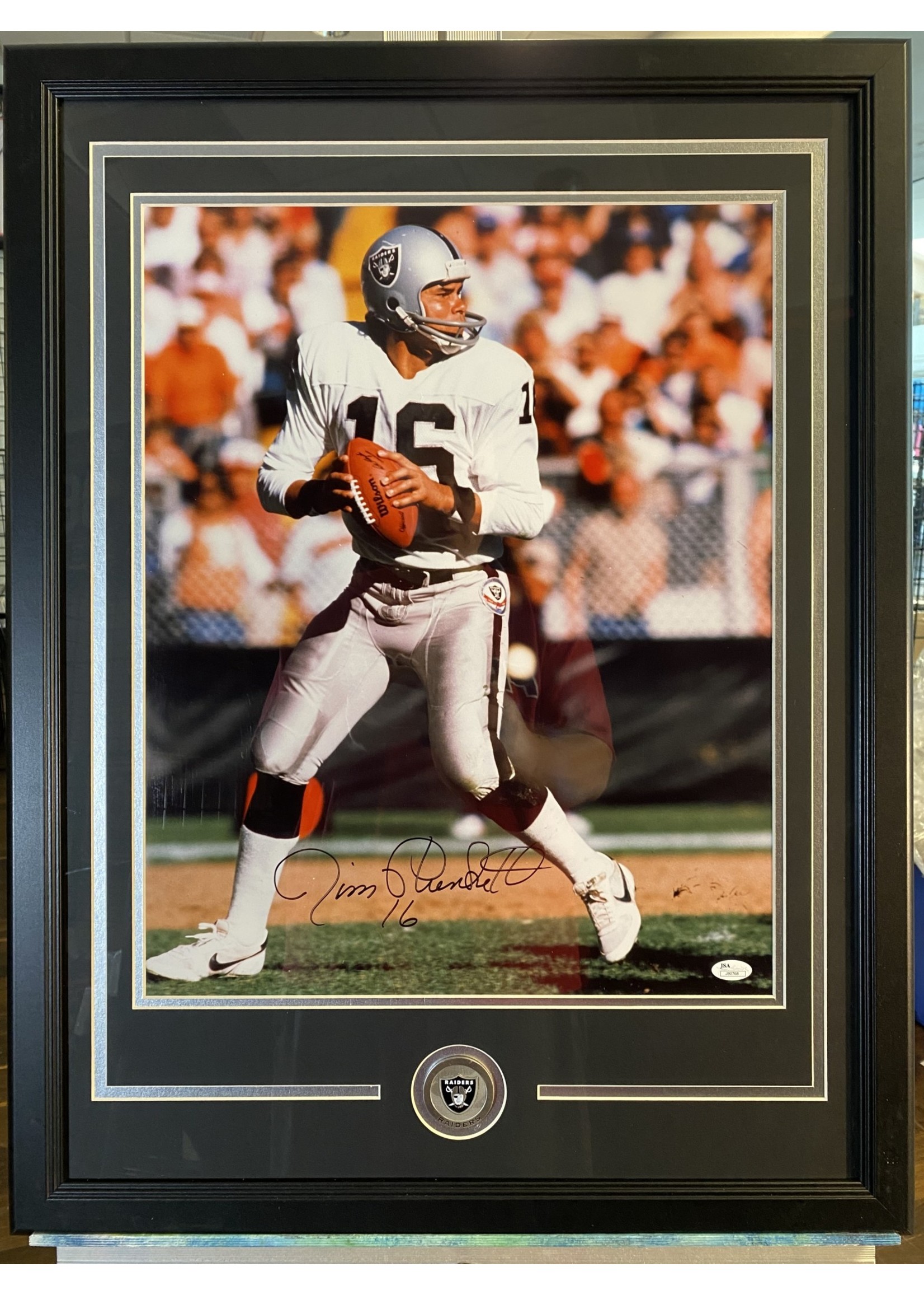 Picture Jim Plunkett 16x20
