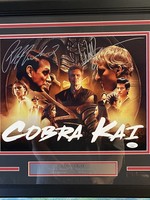Cobra Kai 11x14