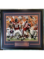 Picture Eli Manning 16x20