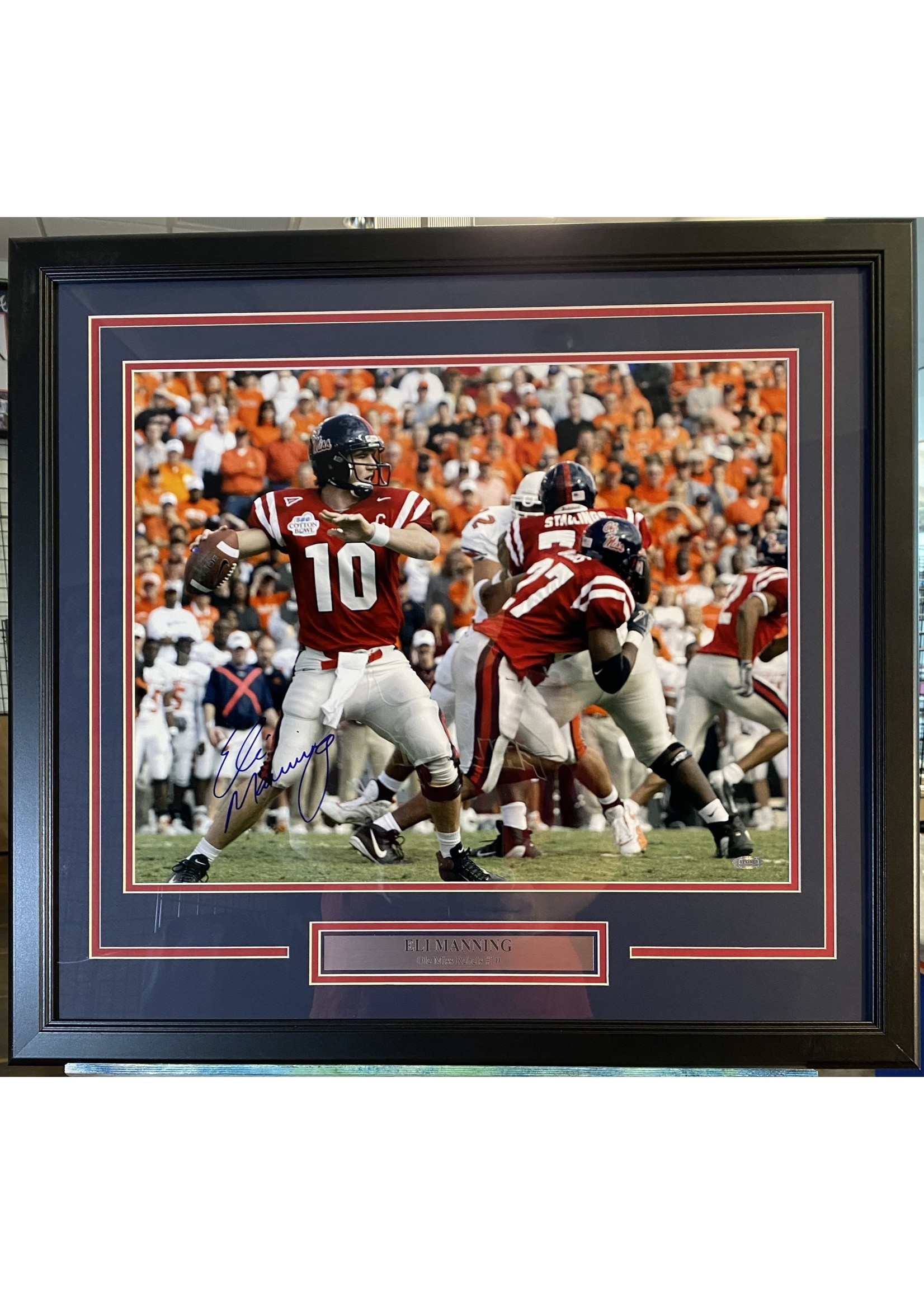 Picture Eli Manning 16x20