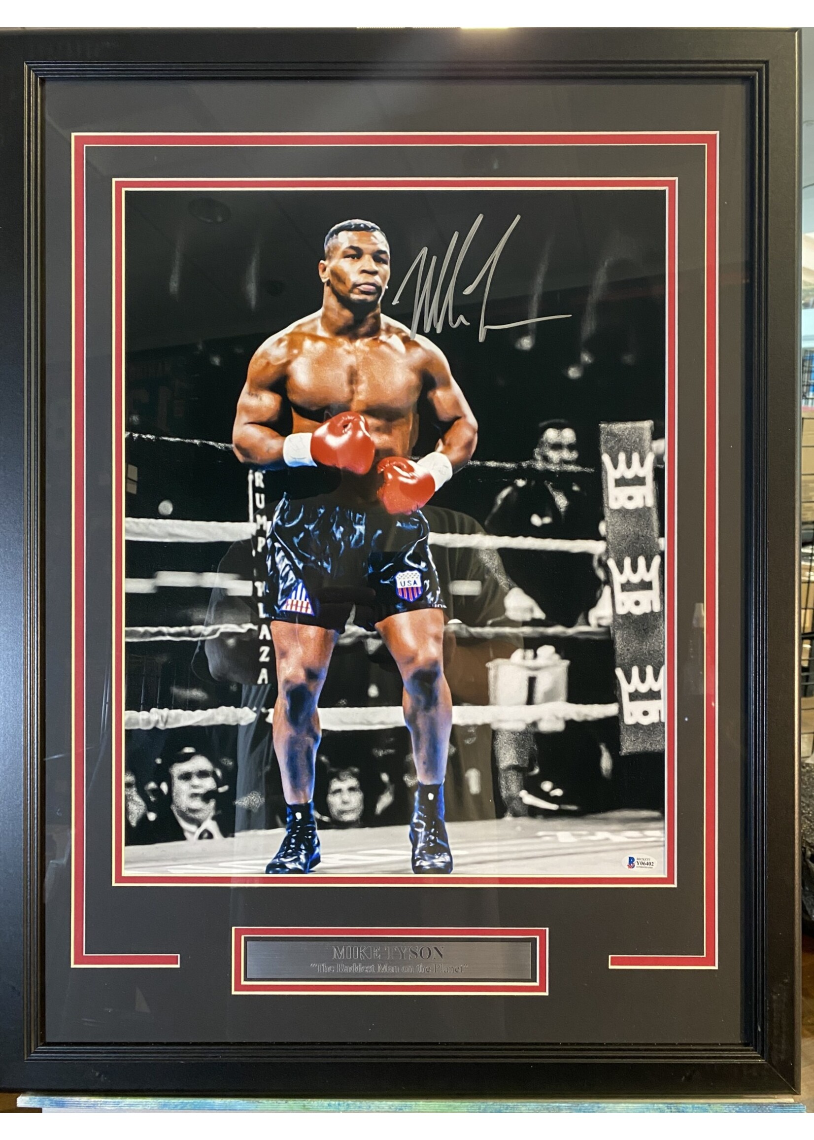 Picture Mike Tyson 16x20