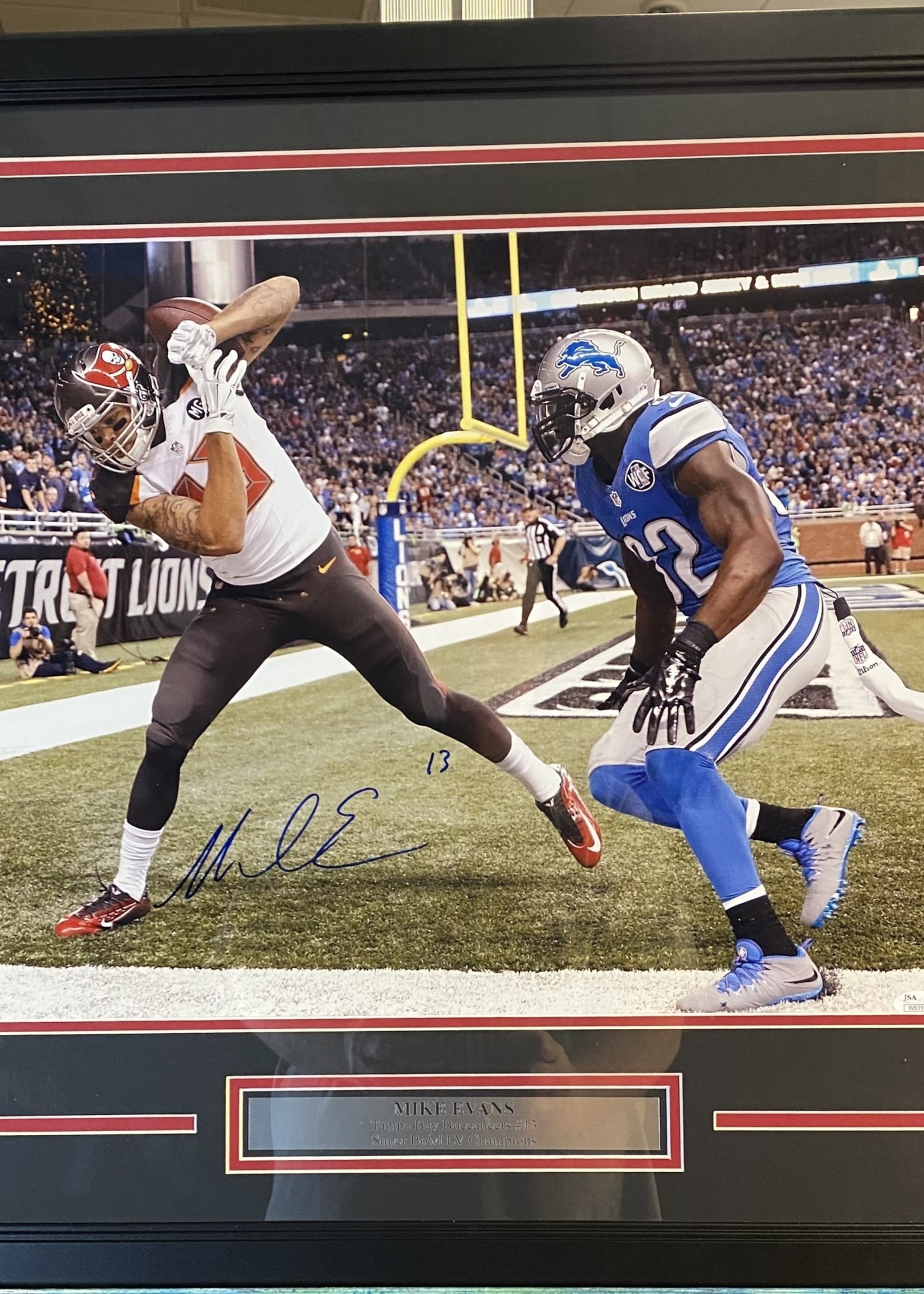 Mike Evans 16x20