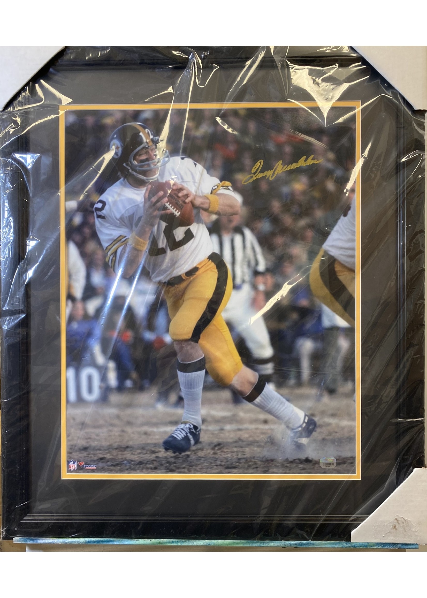 Picture Terry Bradshaw 16x20 B
