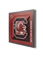 You The Fan South Carolina Logo 12x12 Wall Art