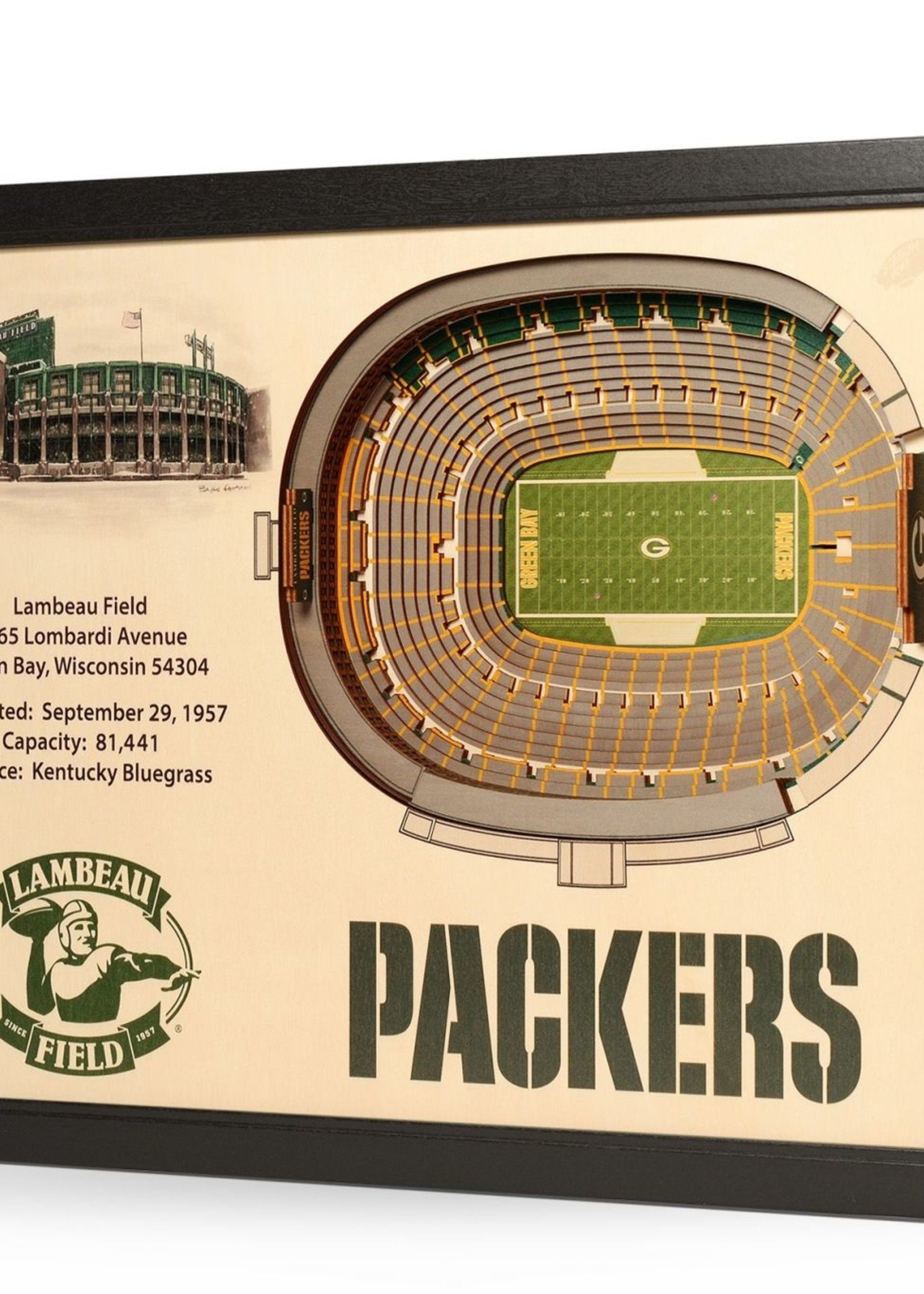 Packers 25 Layer Stadium Wall Art
