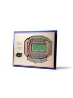 You The Fan Florida 5 Layer Stadium Wall Art