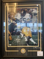 Picture Joe Green 16x20