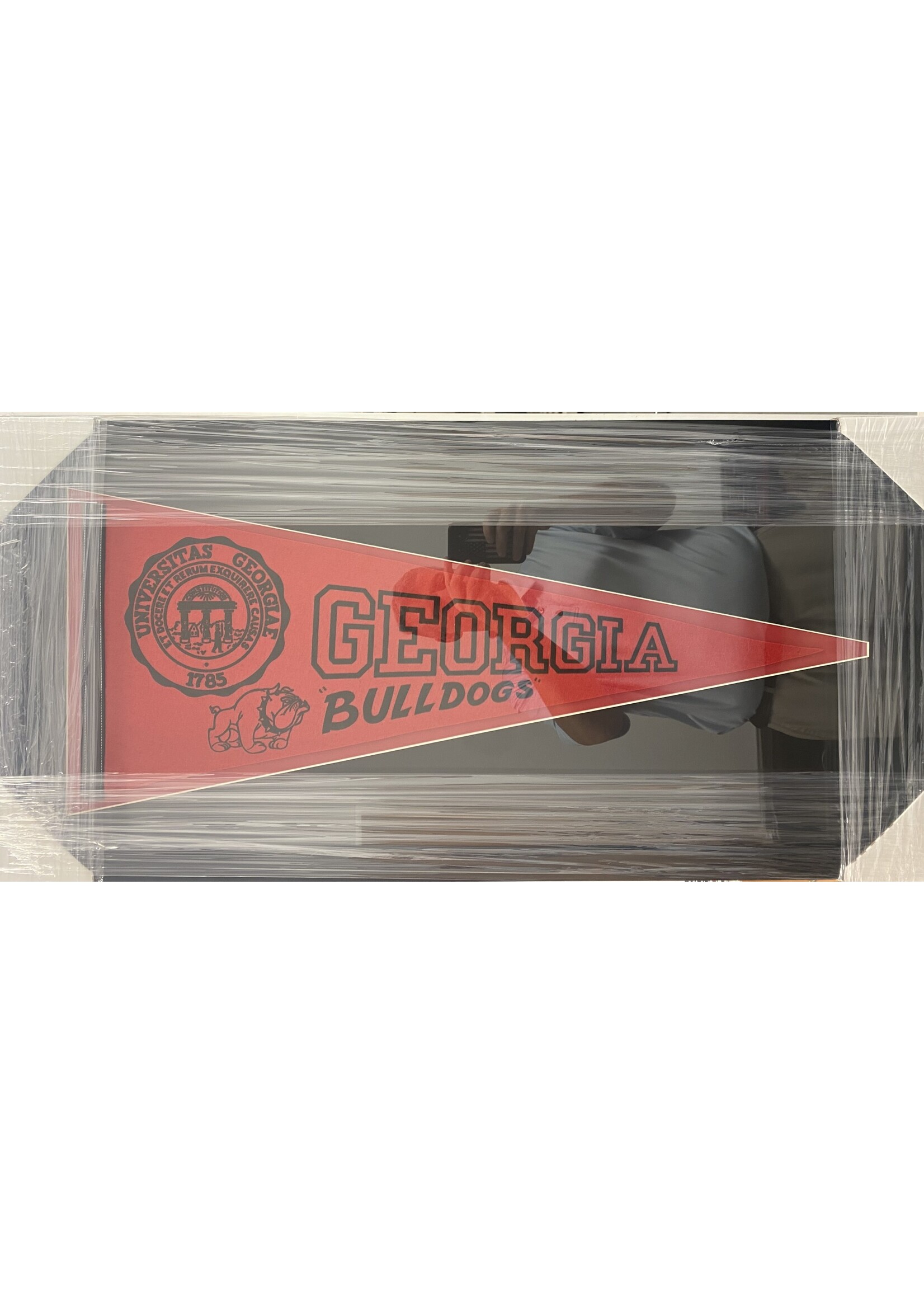 Pennant (F & UF) Georgia Crest Pennant