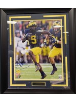 Picture Jabrill Peppers 16x20