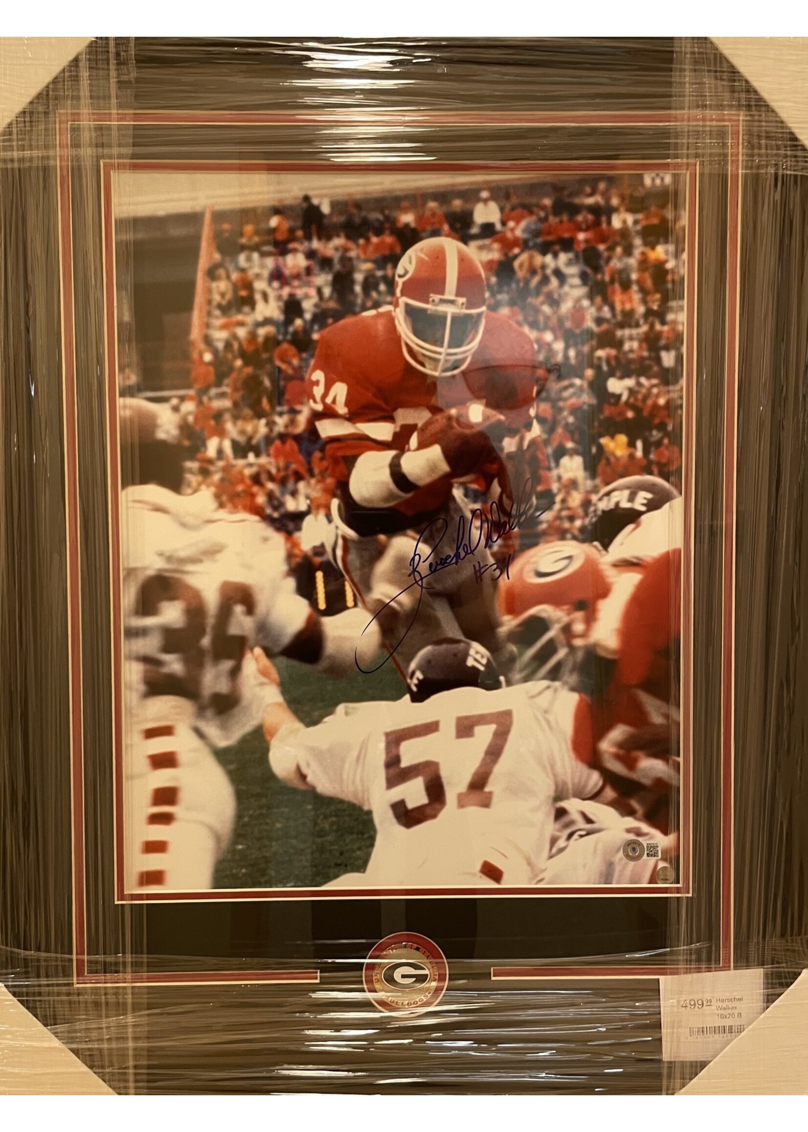 Herschel Walker 16x20 B