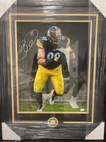 Picture Brett Keisel 16x20