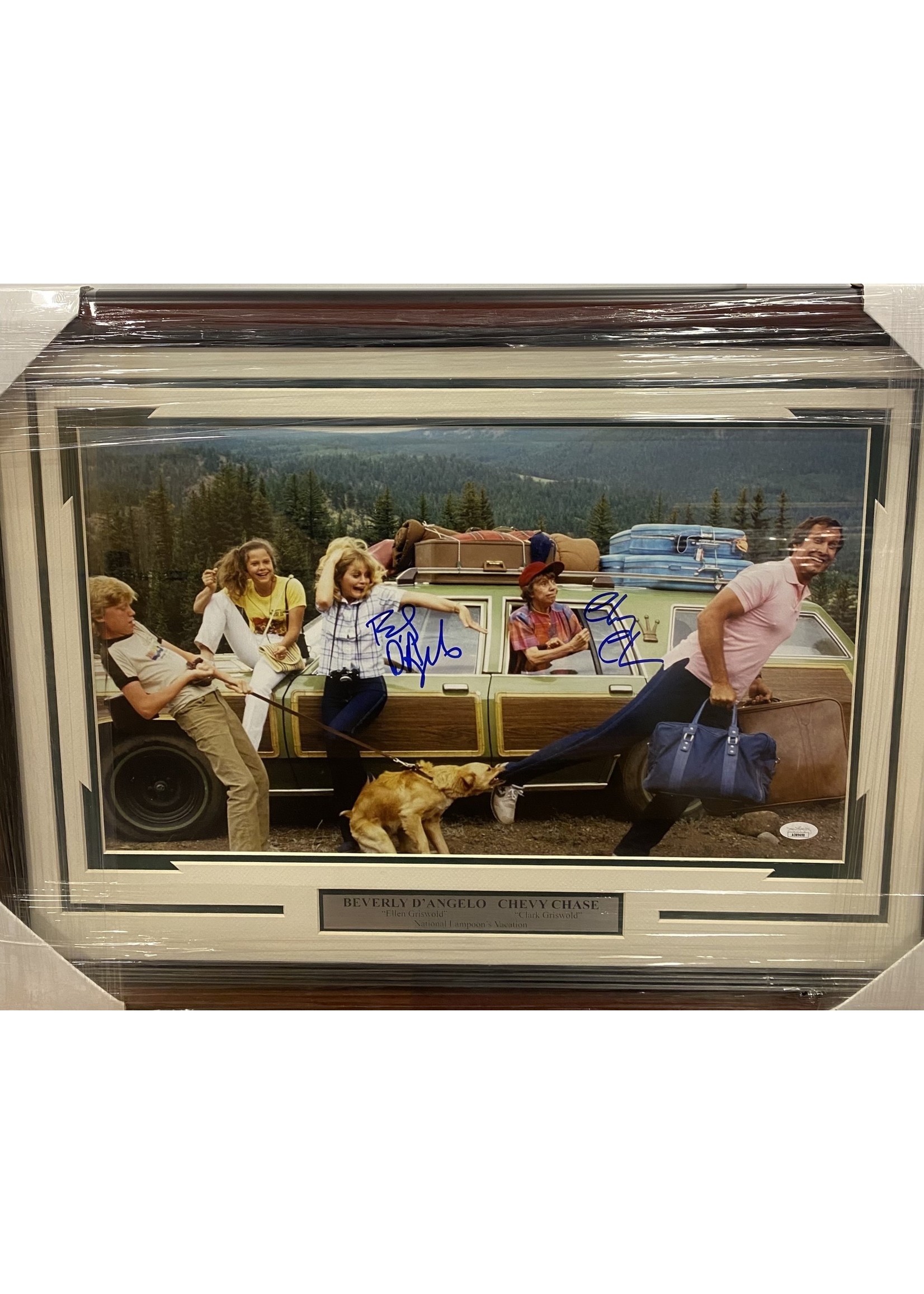 Picture Chase & D'Angelo Vacation 11x14 B