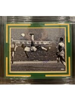 Picture Pele 16x20 B