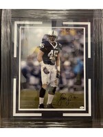 Picture Sean Lee 16x20