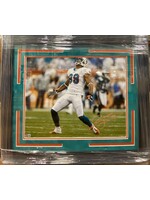 Picture Jason Taylor 16x20