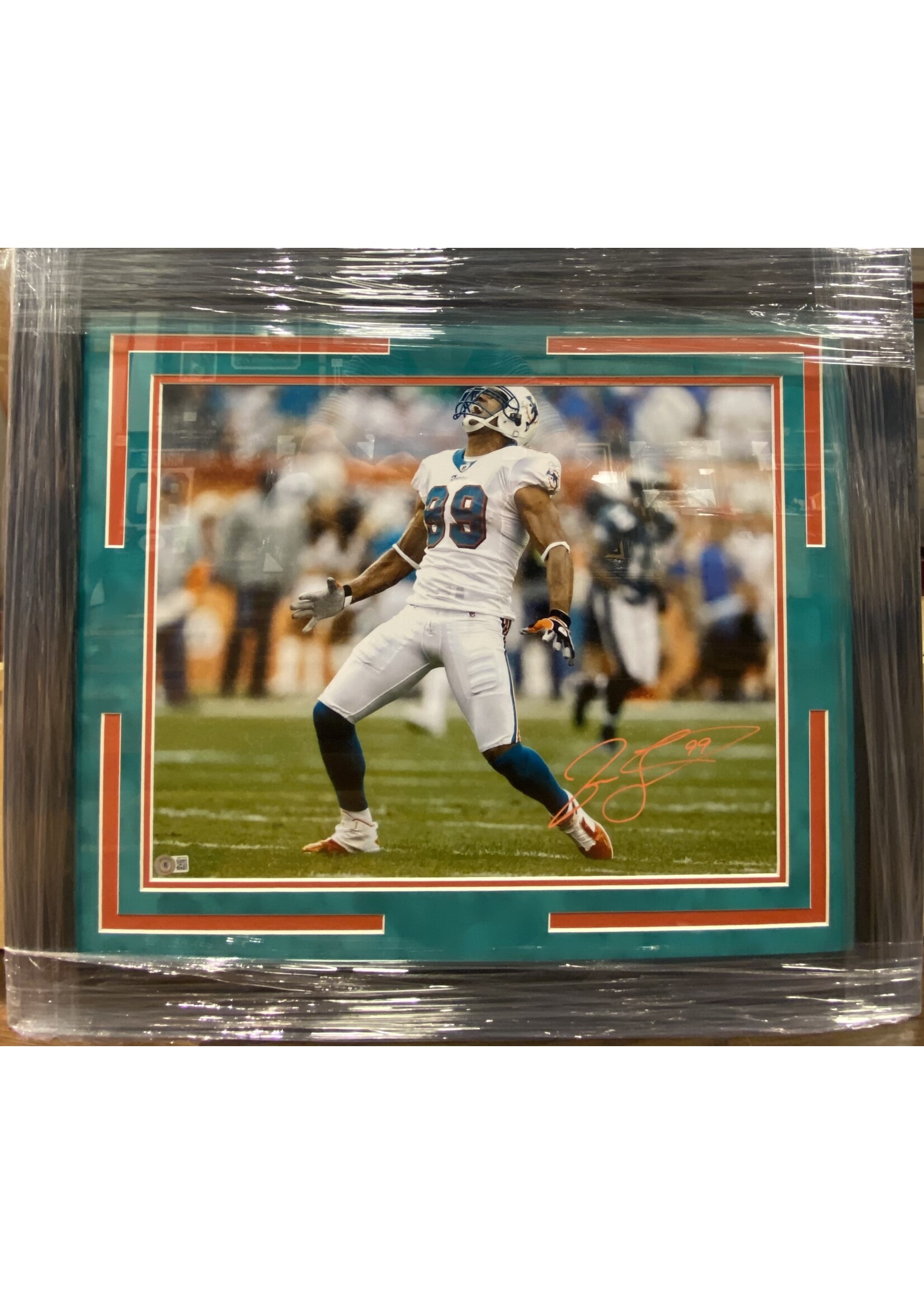 Picture Jason Taylor 16x20