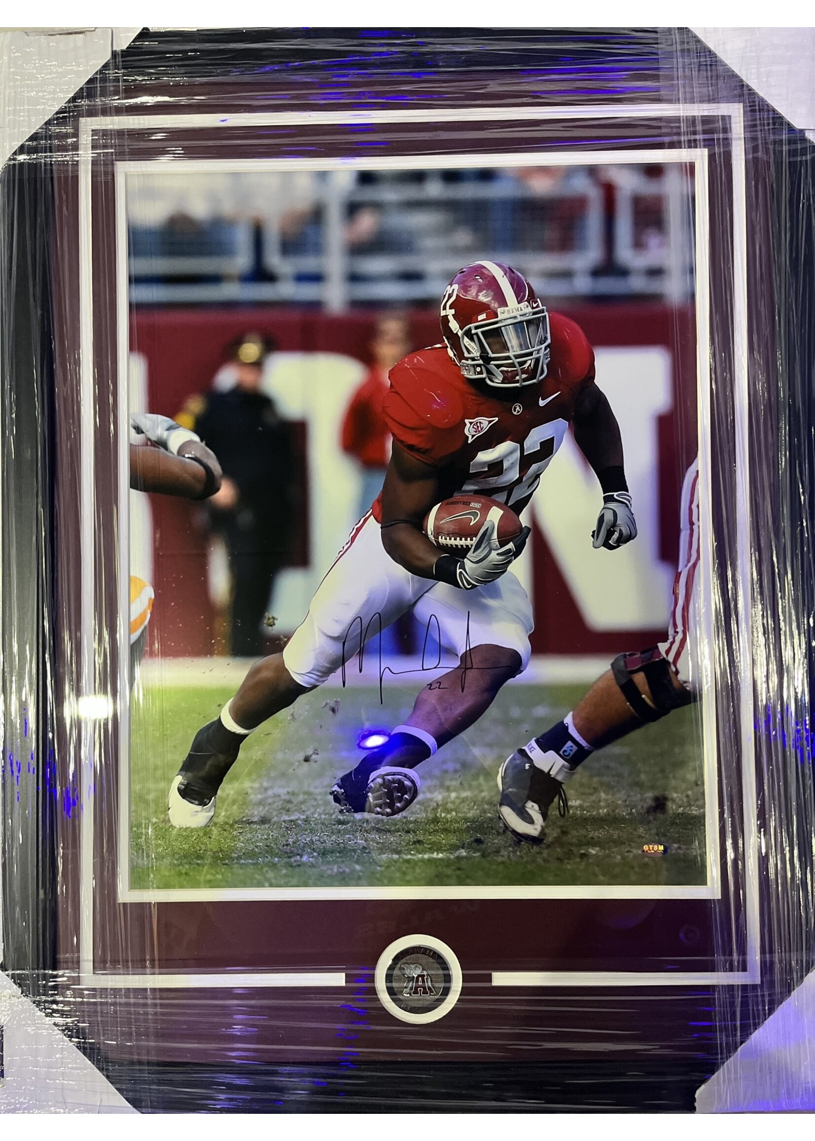 Picture Mark Ingram 16x20 C