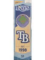 Rays 6x19 Wall Banner