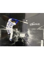 Vlad Guerrero Jr 16x20 B