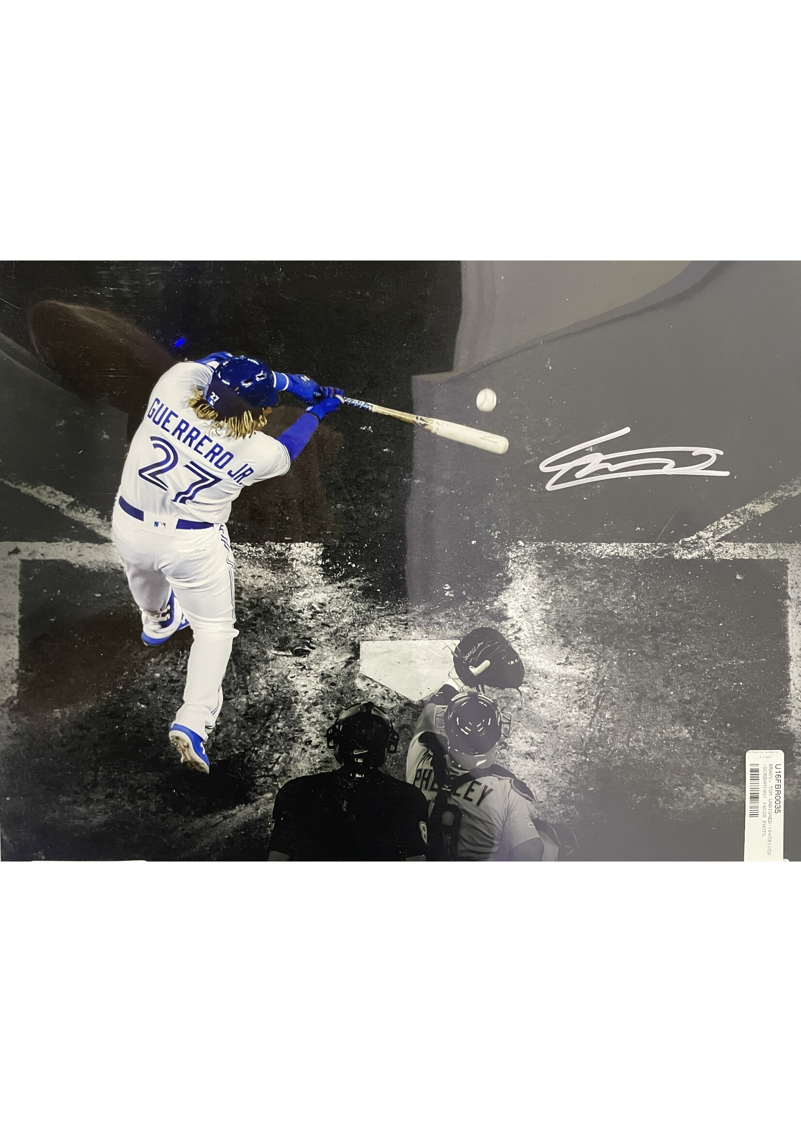 Vlad Guerrero Jr 16x20 B